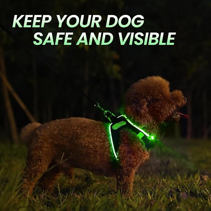 PceoTllar Light Up Dog Harness, LED No Pull Reflective Dog Harness, Flashing Lighted for Night Walking - Small/Medium, (Black Green,xs)