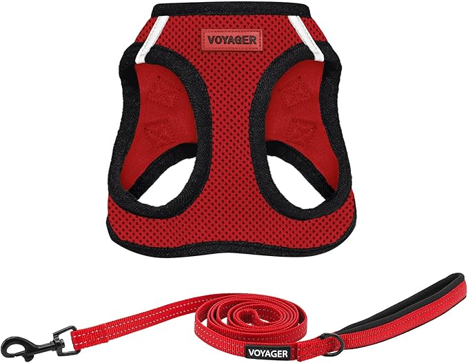 Voyager Step-in Air All Weather Mesh Harness and Reflective Dog 5 ft Leash Combo with Neoprene Handle, for Small, Medium and Large Breed Puppies by Best Pet Supplies - Red/Black Trim, XX-Small