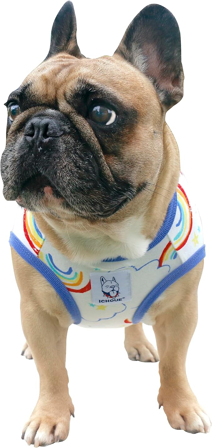 iChoue 100% Breathable Cotton French Bulldog Halloween Cartoon T Shirts Cute Clothes for Medium Dogs Vest Tank Tops Frenchie English Boston Terrier Pitbull Rainbow - Large Plus