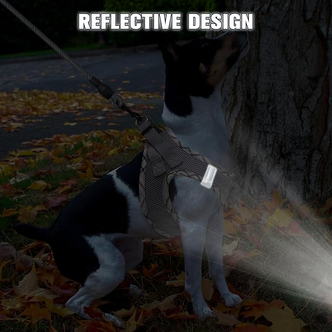 BEAUTYZOO Dog Harness and Leash Set for Small Medium Dogs,No Pull Step-in Harness for Puppy S M Sized Dogs and Cats,Air Mesh Adjustable Breathable Soft No Chock Escape Proof Vest Harnesses,Grey L