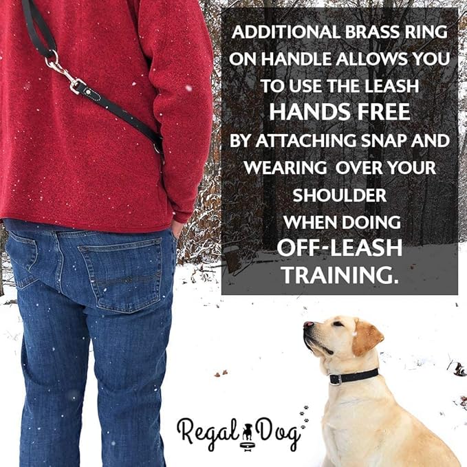Regal Dog Products Small Pink Waterproof Dog Collar and Leash Set | Heavy Duty Double Buckle & D Ring - 5'ft Leash | Adjustable Biothane Dog Collar | Chew Resistant Waterproof Collar for Dogs