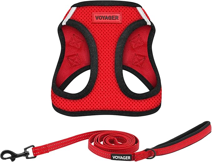 Voyager Step-in Air All Weather Mesh Harness and Reflective Dog 5 ft Leash Combo with Neoprene Handle, for Small, Medium and Large Breed Puppies by Best Pet Supplies - Red, Medium