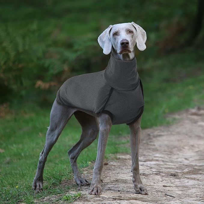 ROZKITCH Dog Winter Coat Soft Pullover Pajamas, Pet Windproof Warm Cold Weather Jacket Vest Cozy Onesie Jumpsuit Apparel Outfit Clothes for Small, Medium, Large Dogs Walking Hiking Travel Sleep Black