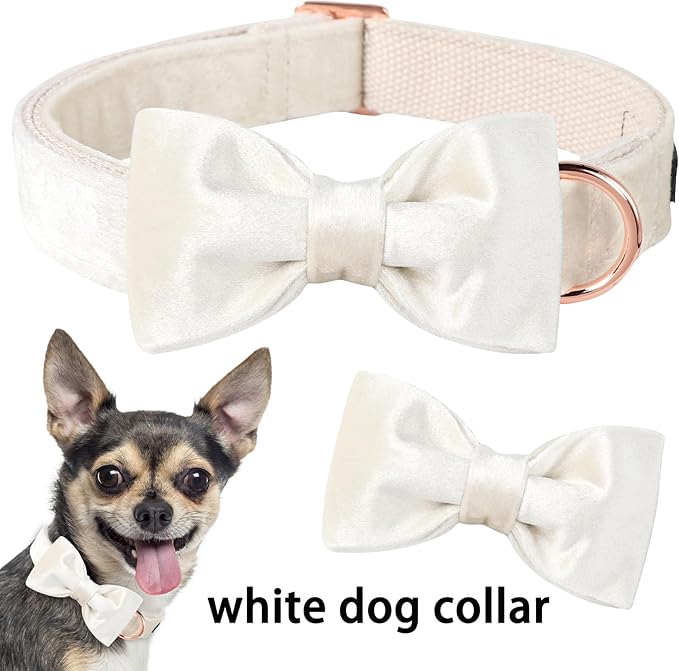 ARING PET Bowtie Dog Collar-Velvet Dog Collars with Detachable Bowtie, White Wedding Soft Dog Collar,Small.