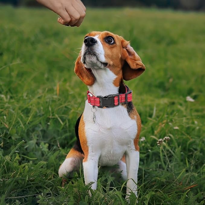Reflective Martingale Dog Collars. Dog Collar with Quick Release Buckle. Adjustable Soft Padded Breathable Nylon Pet Collar Suitable for Puppies for Small Medium Large Dogs.