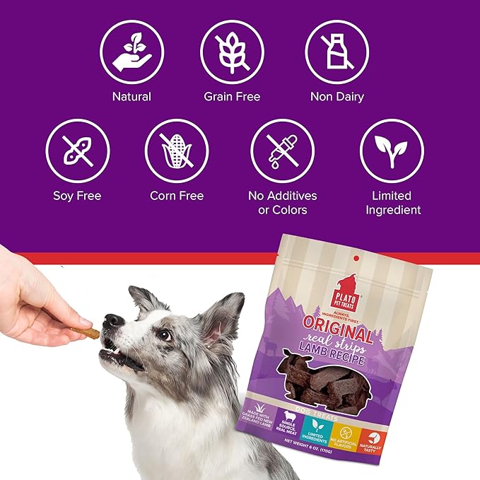 Plato Pet Treats Real Strips - Air-Dried Meat Bars for Dogs - Delicious, Limited Ingredient Dog Treats - Grain Free Dog Treats - Original Real Strips Lamb 6oz