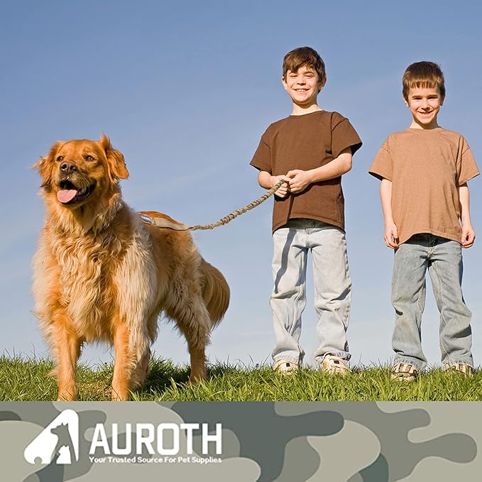 AUROTH Dog Leash Large Dogs, Heavy Duty Dog Leash Bungee, No Pull Dog Leash for Shock Absorption, Army Yellow Dog Training Leashes for Medium Large Breed Dogs 6FT, 2 Padded Handles