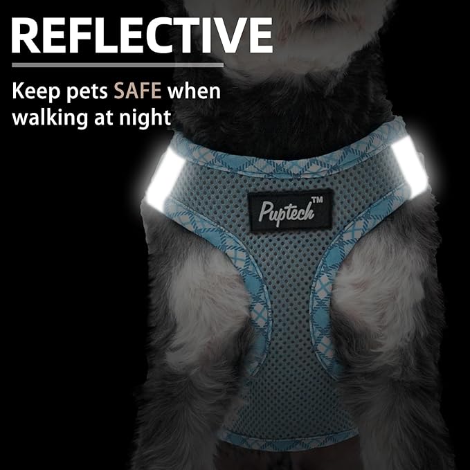 PUPTECK Dog Harness and Leash Set for Small Medium Dogs No Pull Step-in Soft Mesh Puppy Cat Vest Harnesses Reflective at Night, Sky Blue, L