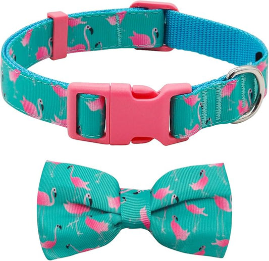 azuza Bowtie Dog Collar, Soft & Comfy Dog Collar with Bow, Fun Patterns & Bright Color for Small Dogs