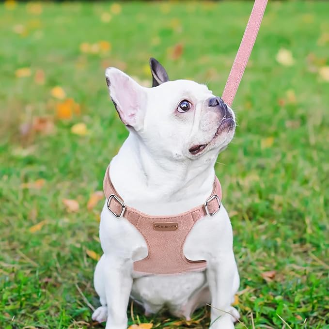 Dog Harness and Leash Set, XXS No Pull Adjustable Puppy Harness with Multifunction Pink Dog Leash and Dog Collar, Soft No Choke Escape Proof Pet Harness Vest for Small Dogs and Cats (Pink, XXS)