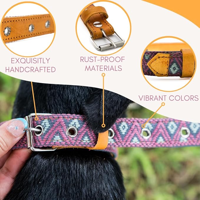 Western Dog Collar - Leather Embroidered Design for Small Medium Large Dogs & Puppy Pets - Aztec Southwest for Boy Girl Female & Male Dogs - Collar para Perros Beaded (Large, Camelot)