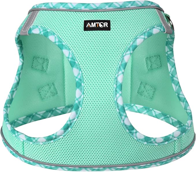 AMTOR Small Dog Harness with Leash Set, No Escape Easy Walk Puppy Harnesses for Training Walking, Step-in Reflective Soft Dogs Vest for XS S Medium Extra-Small Large Sized Dog(Green,M)