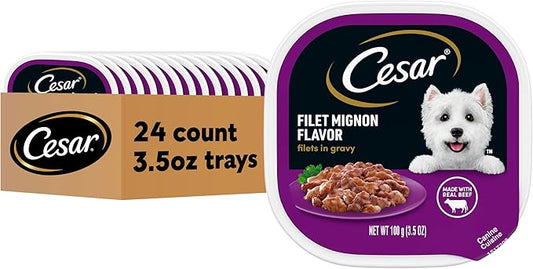 Cesar Filets in Gravy Adult Wet Dog Food, Filet Mignon Flavor, 3.5 oz. (24 Count, Pack of 1)