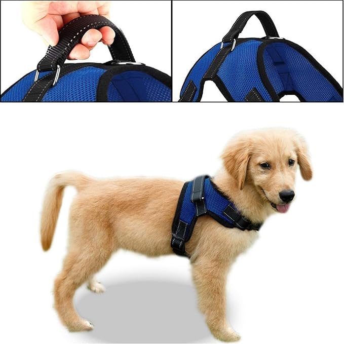No Pull Reflective Adjustable Dog Harness With Handle- Comfortable Soft All Weather Mesh, Easy On Puppy Harness For Small Medium and Large Dogs (Blue) X-Large