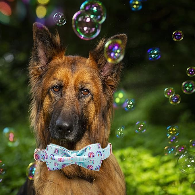 Dog Collar, Summer Rainbow Print Adjustable Dog Bow Collar Girl or Boy Pet Collar Bowtie Duarble Dog Collars for Small Medium Large Dog