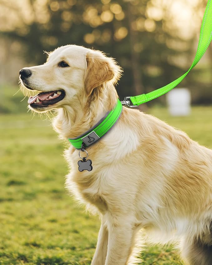 Joytale Dog Collar for Large Dogs, Neoprene Padded and Adjustable, Reflective Wide Heavy Duty Pet Collars with Durable Metal Belt Buckle for Walking, Green, L