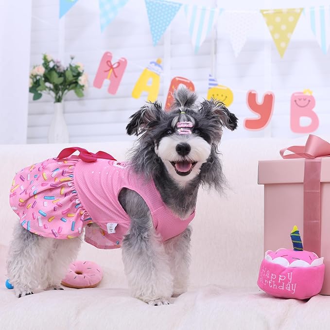 CuteBone Dog Mesh Dress Puppy Sundress Pet Outfit Summer Fashion for Small Dogs Girl Cat Clothes BF37XS-D