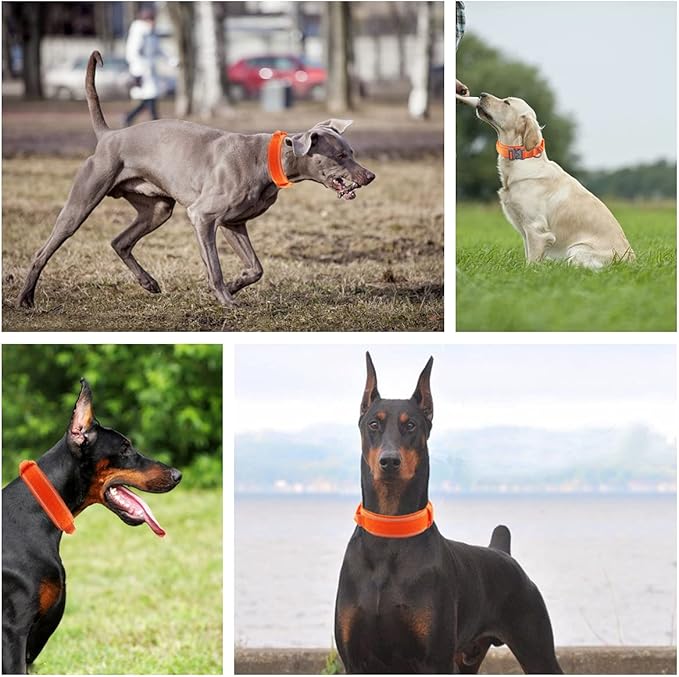 Tactical Dog Collar with Heavy Duty Metal Buckle and Control Handle for Medium Large Dogs Training(Orange, X-Large)