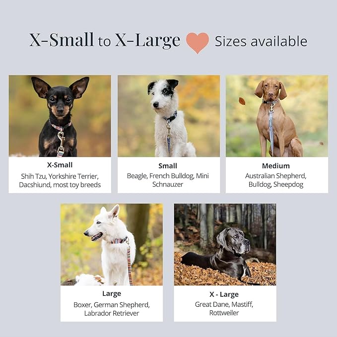 Lucky Love Dog - Adjustable Dog Collar and Leash Set with Easy Click Buckle for Small to Large Dogs, Durable, & Comfortable Collar for Male & Female Dogs, Puppies & Adult Ones - Scotty Combo, Small