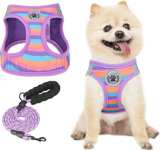 BEAUTYZOO Dog Harness and Leash Set for Small Dogs,No Pull Step-in Harness for Puppy XS S Sized Dogs and Cats,Air Mesh Adjustable Breathable Soft No Chock Escape Proof Vest Harnesses,Striped Purple XS