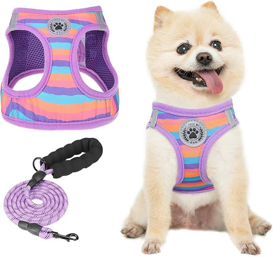 BEAUTYZOO Dog Harness and Leash Set for Small Dogs,No Pull Step-in Harness for Puppy XS S Sized Dogs and Cats,Air Mesh Adjustable Breathable Soft No Chock Escape Proof Vest Harnesses,Striped Purple XS