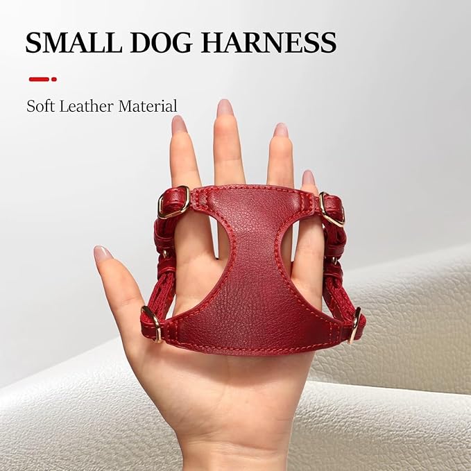 Didog Small Dog Harness and Leash Set, Soft & Lightweight Dog Vest Harness, Adjustable Leather Dog Harness for Small Dogs, Red, XXS