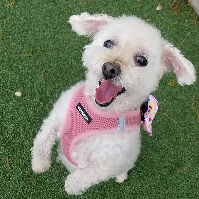 Voyager Step-in Air All Weather Mesh Harness and Reflective Dog 5 ft Leash Combo with Neoprene Handle, for Small, Medium and Large Breed Puppies by Best Pet Supplies - Set (Pink), XL