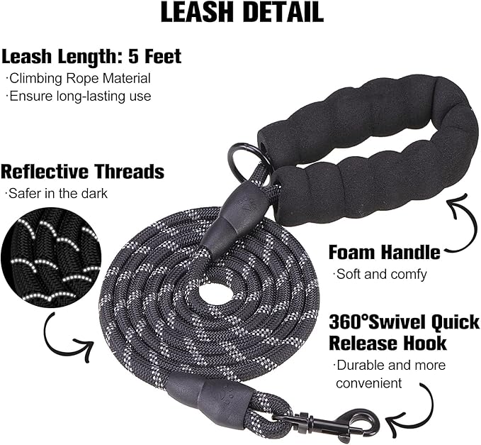 BEAUTYZOO Dog Harness and Leash Set for Small Dogs,No Pull Step-in Harness for Puppy XS S Sized Dogs and Cats,Air Mesh Adjustable Breathable Soft No Chock Escape Proof Vest Harnesses,Striped Teal XXS