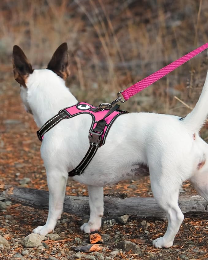 Joytale Double-Sided Reflective Dog Leash, 6 FT/5 FT/4 FT, Padded Handle Nylon Heavy Duty Leashes for Medium & Large Dogs Walking, Hotpink, 6FT
