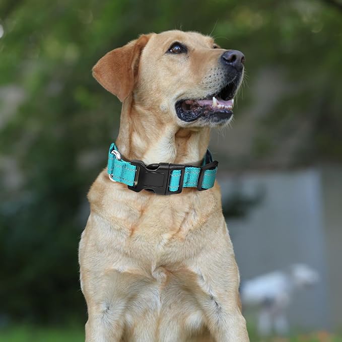 Reflective Martingale Dog Collars. Dog Collar with Quick Release Buckle. Adjustable Soft Padded Breathable Nylon Pet Collar Suitable for Puppies for Small Medium Large Dogs.