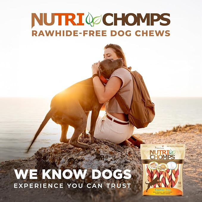 NutriChomps Dog Chews, 6-inch Braids, Easy to Digest, Rawhide-Free Dog Treats, Healthy, 10 Count, Real Chicken, Peanut Butter and Milk flavors