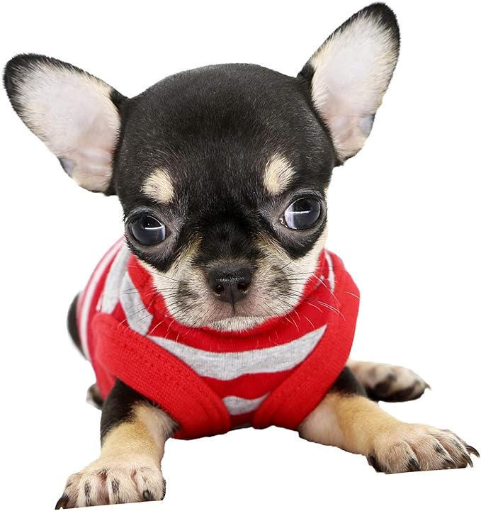 LOPHIPETS 100% Cotton Striped Dog Shirts for Small Dogs Chihuahua Puppy Clothes Tank Vest-Red and Gray Strips/XXS