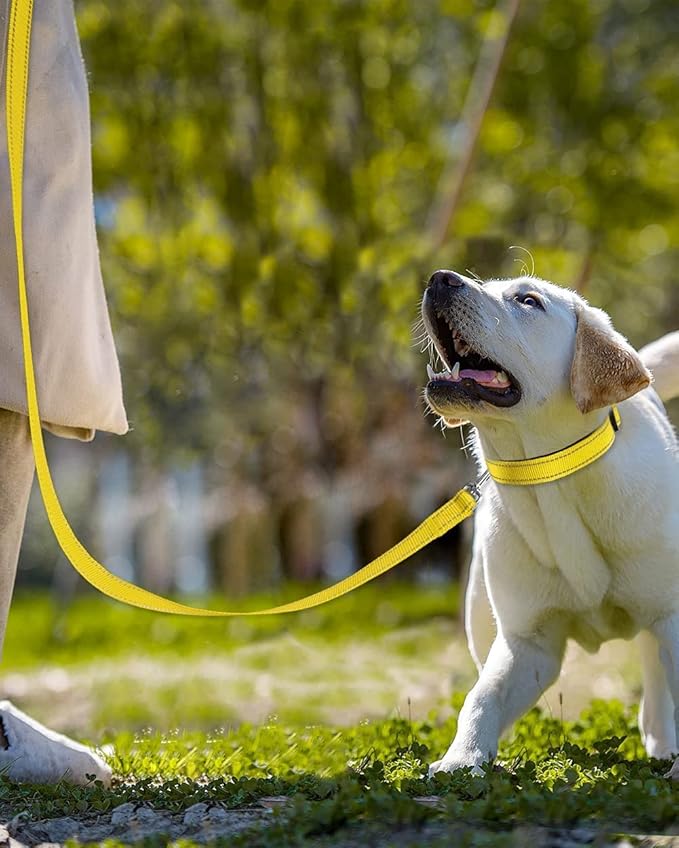 Joytale Double-Sided Reflective Dog Leash, 6 FT/5 FT/4 FT, Padded Handle Nylon Heavy Duty Leashes for Medium & Large Dogs Walking, Yellow, 5FT