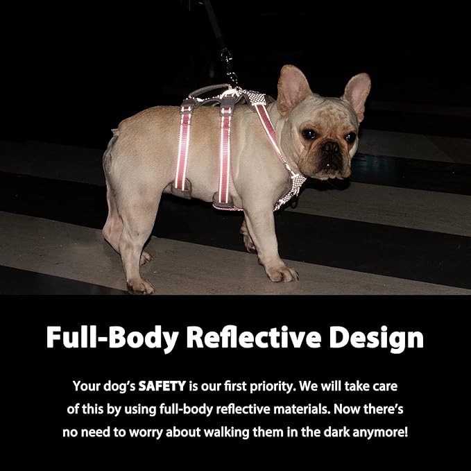 Escape Proof Dog Harness, Secure Dog Harness No Escape, Fully Reflective Harness with Handle, Breathable, Durable, Adjustable Vest for Small Dogs Walking, Training, and Running Gear (Black,S)