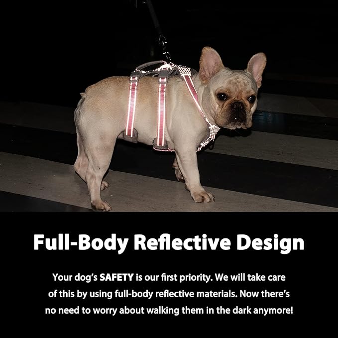 Escape Proof Harness, No Slip Dog Harness Escape Proof,Fully Reflective Harness with Handle, Breathable,Durable, Adjustable Vest for Medium Dogs Walking,Training,and Running Gear(Vista Blue,M)