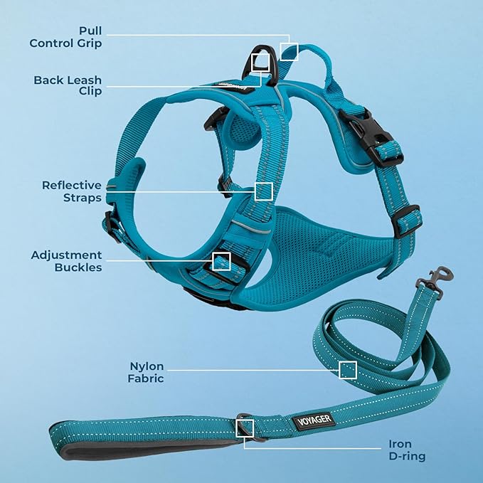 Dog Harness Dual Leash Attachment No-Pull Control Adjustable Soft but Strong Pet Harness for Medium and Large Dogs with 3M Reflective Technology - Harness Leash Set (Turquoise), XS