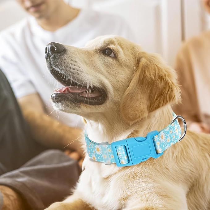 Dog Collars for Puppy Small Dogs with Blue Daisy Flowers Floral Design for Boy Girl Dogs, Adjustable Comfy Soft Pet Collar with Safety Buckle for XS Small Medium Large Dogs(XS)
