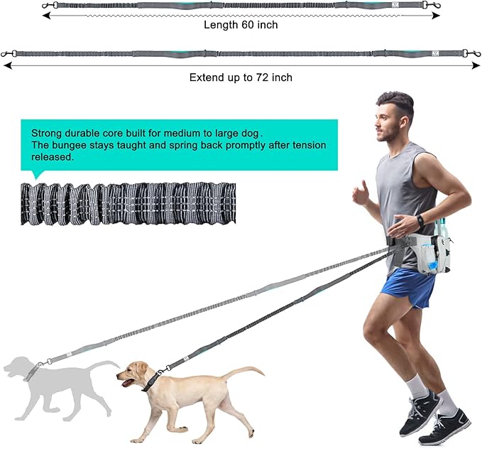 SHINE HAI Retractable Hands Free Dog Leash with Dual Bungees for 2 Dogs, Adjustable Waist Belt, Reflective Stitching Leash for Running Walking Hiking Jogging Biking Black - Gray