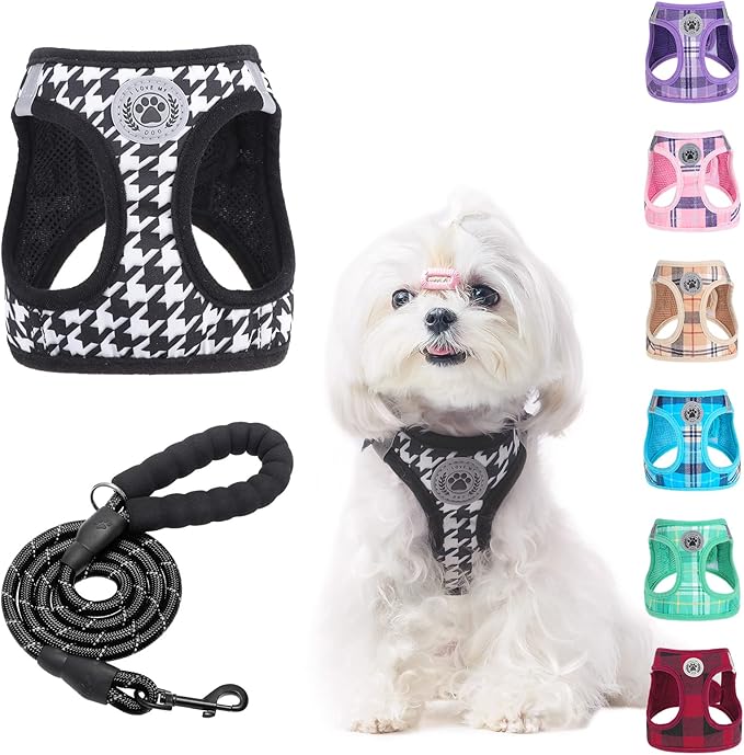 BEAUTYZOO Small Dog Harness and Leash Set,Step in No Choke No Pull Soft Mesh Dog Harnesses Reflective for Extra Small Medium Puppy Dogs and Cats, Plaid Dog Vest Harness for XS S Pets, Black XS