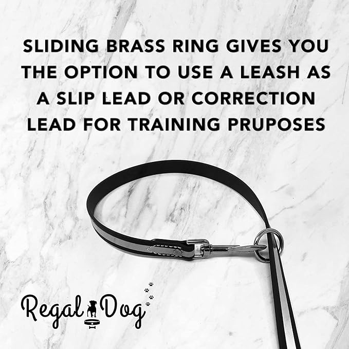 Regal Dog Products Small Black Reflective Dog Collar and Leash Set - Waterproof Biothane Dog Collar with Heavy Duty Double Buckle, D Ring & 5ft Leash - Other Size for Medium & Large Dogs