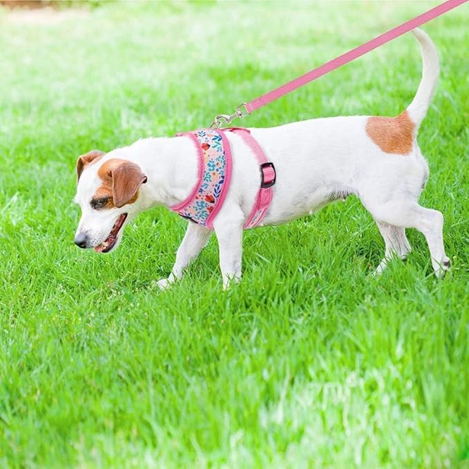 PUPTECK Soft Mesh Dog Harness and Leash Set Pet Puppy Cat Comfort Padded Vest No Pull Harnesses, Pink Floral, XS