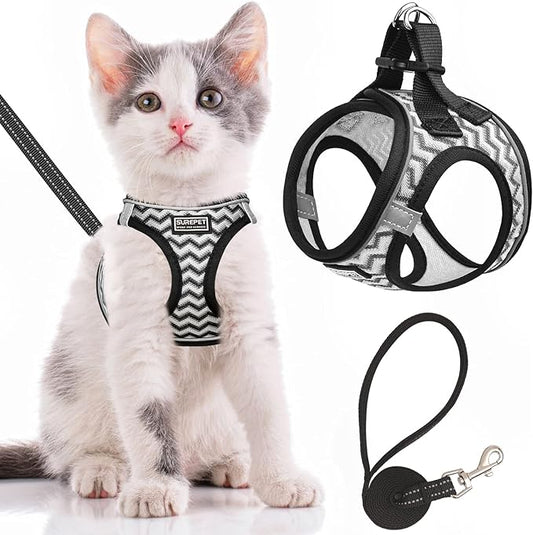 Cat Harness and Leash Escape Proof,Adjustable Soft Mesh Kitten Vest Harness for Walking Reflective Pet Harness for Cat Small Dogs Puppy (White, XXS)