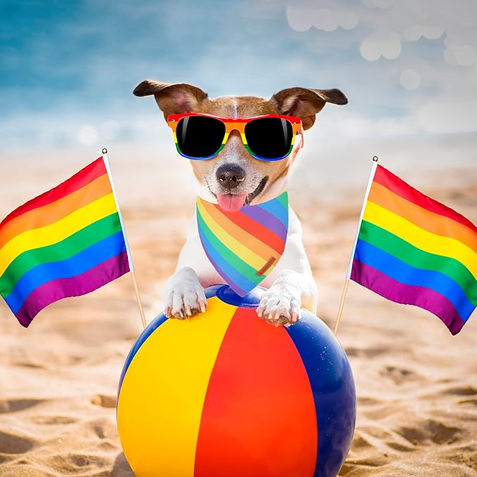 ADOGGYGO Rainbow Dog Bandana, Multi Size Offered, Rainbow Bandanas for Medium Large Dogs Pets (Large)