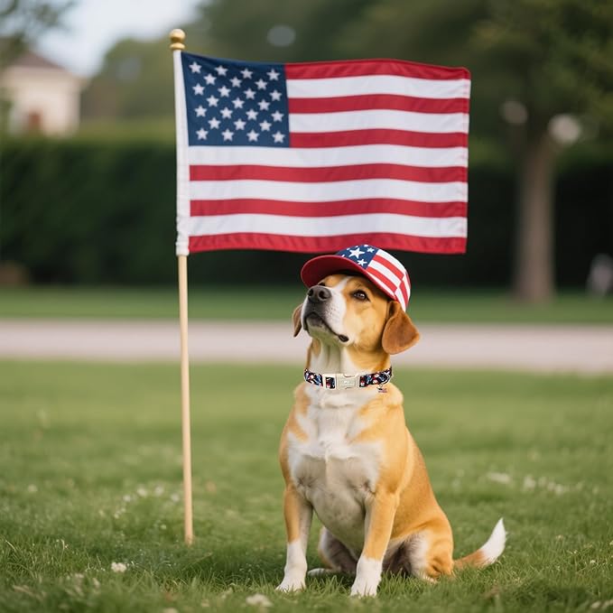 Summer Dog Collar, Durable Popcile Dog Collars, Adjustable Soft 4th of July Pet Collar for Small Large Medium Dogs