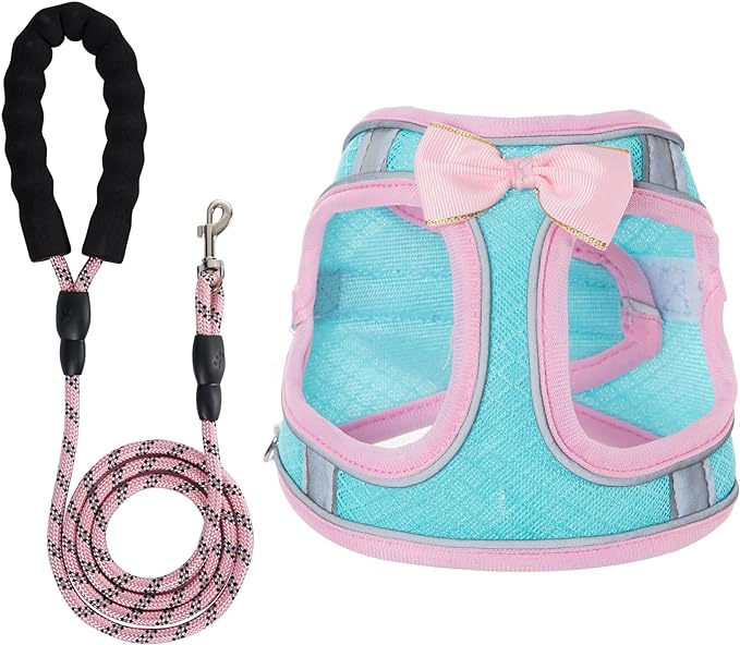 Dog Harness with Leash Set, Step-in Breathable Puppy Cat Dog Vest Harnesses, No Pull Adjustable Reflective Puppy Harness with Soft Padded Vest for Extra-Small/Small Medium Large Dogs and Cats