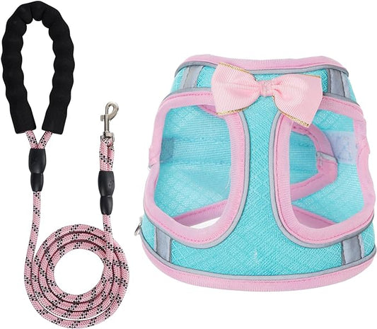 Dog Harness with Leash Set, Step-in Breathable Puppy Cat Dog Vest Harnesses, No Pull Adjustable Reflective Puppy Harness with Soft Padded Vest for Extra-Small/Small Medium Large Dogs and Cats