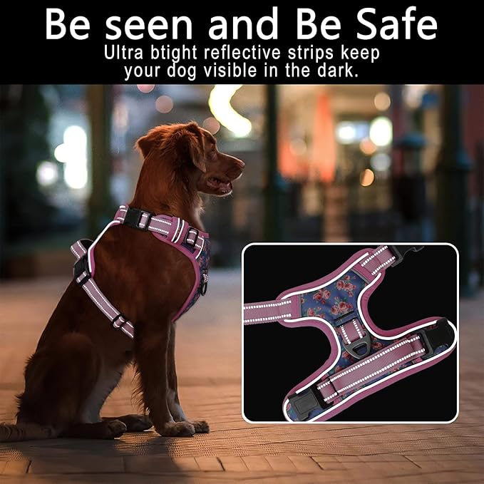 Timos Dog Harness, No-Pull Pet Harness with 2 Leash Clips, 3 Snap Buckles Adjustable Soft Padded Dog Vest, Reflective No-Choke Pet Oxford Vest with Easy Control Handle for Small Medium Large Dogs