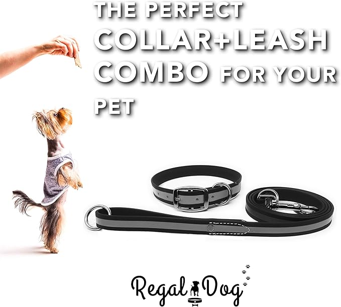 Regal Dog Products Medium Black Reflective Dog Collar and Leash Set - Waterproof Biothane Dog Collar with Heavy Duty Double Buckle, D Ring & 5ft Leash - Other Size for Medium & Large Dogs
