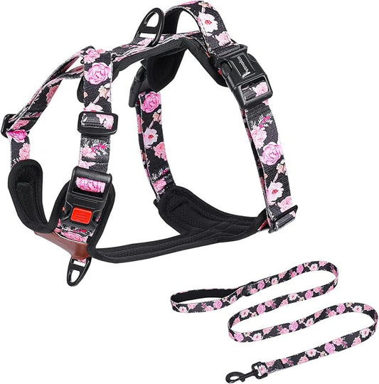 Petmolico No Pull Dog Harness Leash Set, Front and Back Metal Clips Easy Walk Dog Harness with Handle for Training Outdoor Adventures, Peony Small