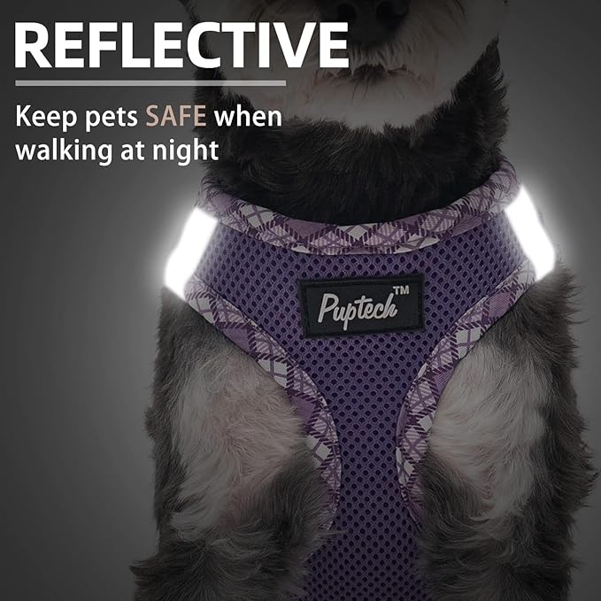 PUPTECK Dog Harness and Leash Set for Small Medium Dogs No Pull Step-in Soft Mesh Puppy Cat Vest Harnesses Reflective at Night, Purple XS